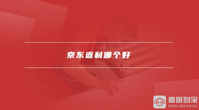 京东返利哪个好