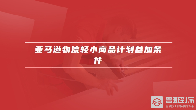 亚马逊物流轻小商品计划
