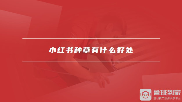 小红书种草