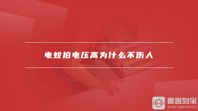 电蚊拍的正确使用方法