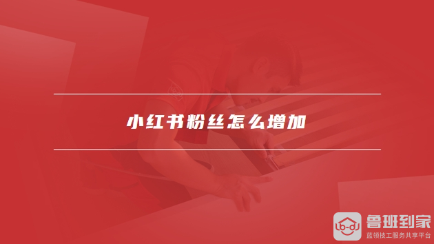 小红书粉丝