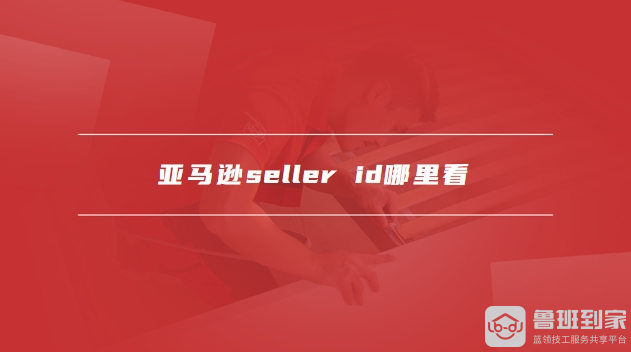 亚马逊seller id哪里看
