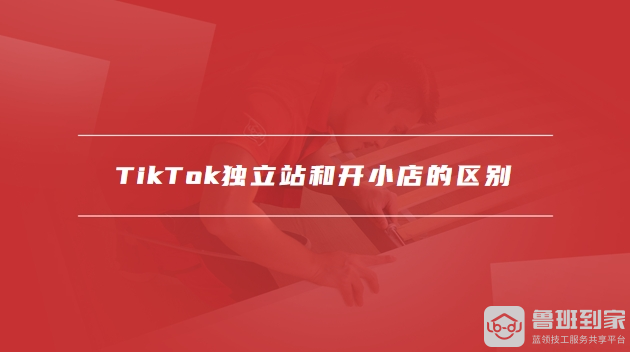 tiktok独立站