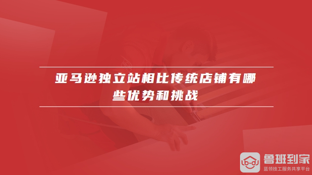 亚马逊独立站