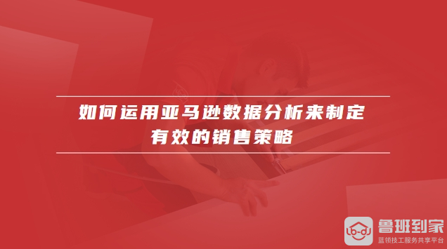 亚马逊数据分析