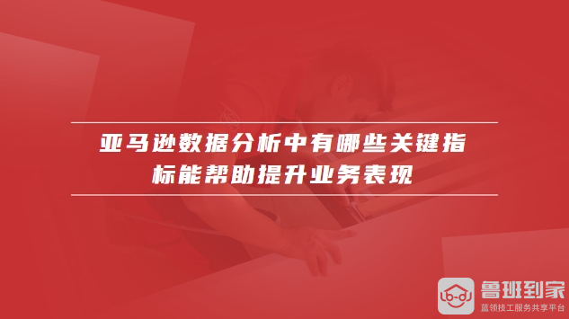 亚马逊数据分析