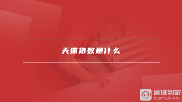 天猫指数