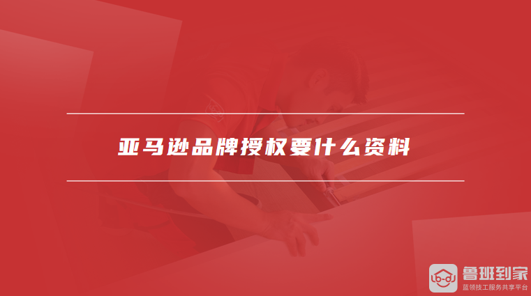亚马逊品牌授权要什么资料
