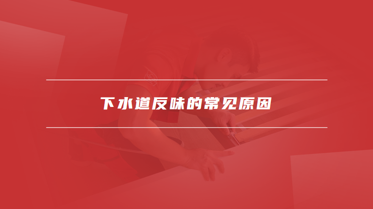 下水道反味儿怎么解决