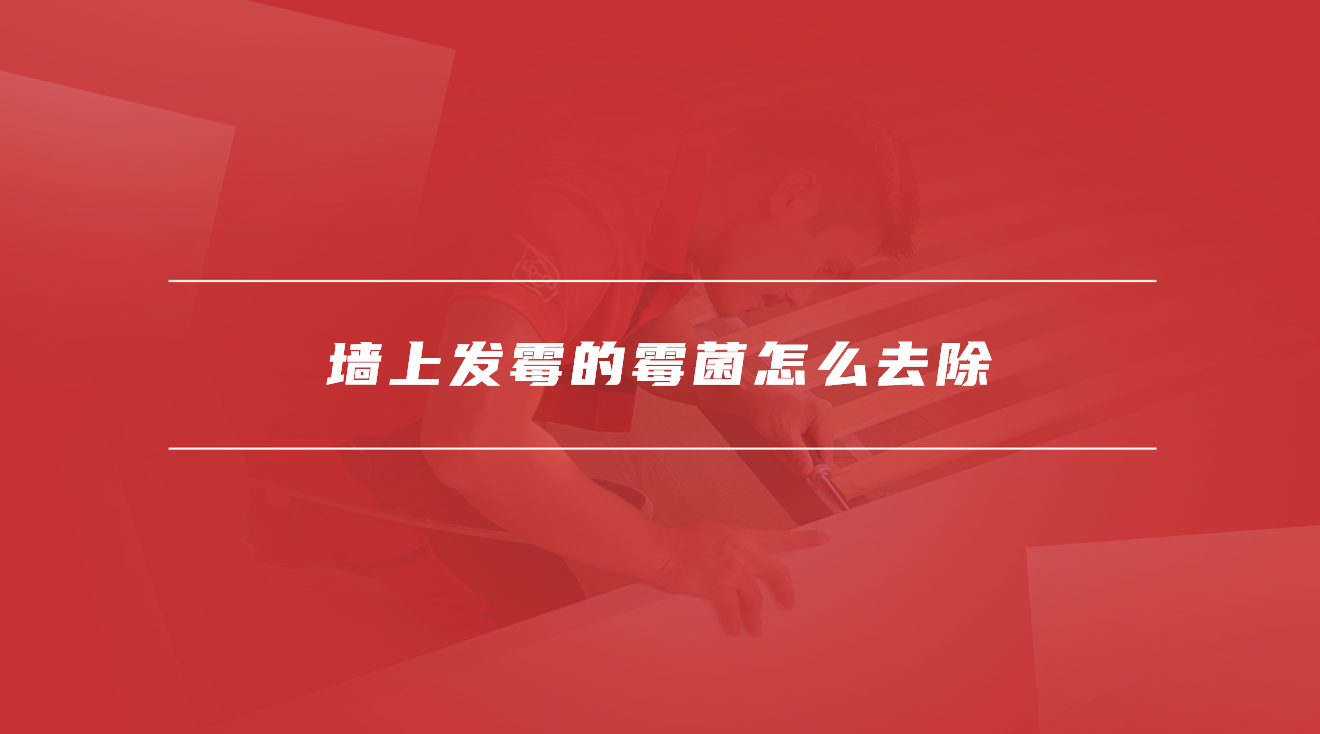 墙上发霉的霉菌怎么去除